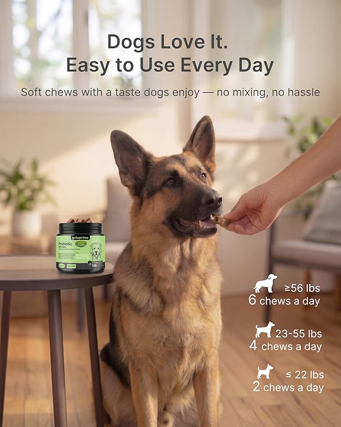 Probiotics for Dogs – Digestive & Gut Health Support, Dog Probiotic Chews with Spore-Forming Bacillus Coagulans, Multi-Strain Lactobacillus + Prebiotic Inulin, Chicken Flavor, 120 Soft Chews
