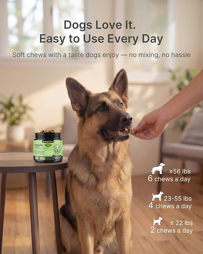 Probiotics for Dogs – Digestive & Gut Health Support, Dog Probiotic Chews with Spore-Forming Bacillus Coagulans, Multi-Strain Lactobacillus + Prebiotic Inulin, Chicken Flavor, 120 Soft Chews