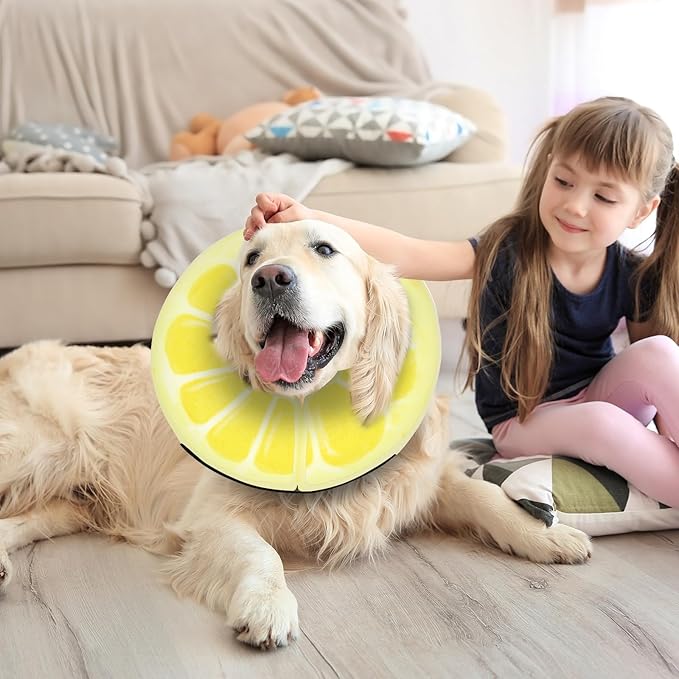 Adjustable Inflatable Dog Cone Collar for Surgery Recovery, Soft Cone for Dogs & Cats, Portable & Washable Dog Donut Collar, Large Cat Cone E Collar (Yellow M)