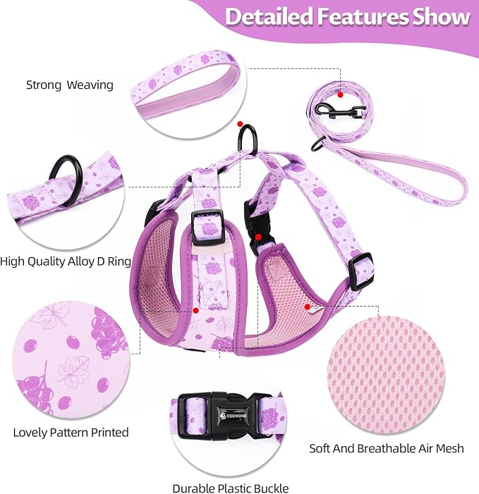 Dog Harness and Leash Set, Adjustable Dog Harness, Dog Leash, No Pull No Choke Puppy Harnesses for Walking Training for Small Medium Pet (Wines, XS(Chest 9.9-13.5", Neck 7.8-10.2"))