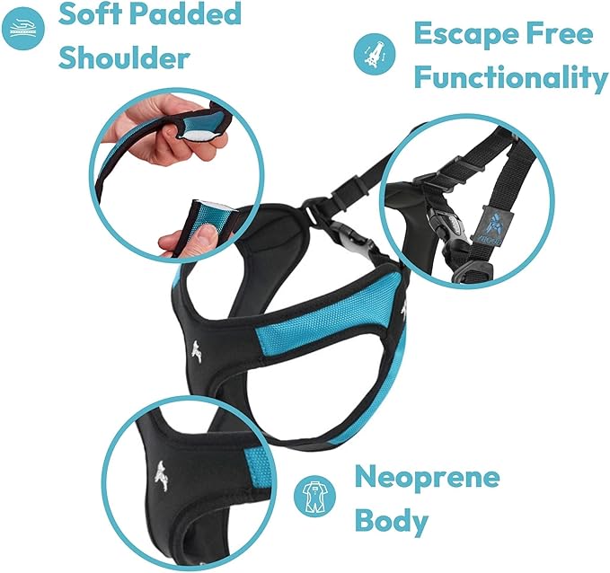 Gooby Escape Free Easy Fit Harness - Black, Large - No Pull Step-in Patented Small Dog Harness with Quick Release Buckle - Perfect On the Go No Pull Harness for Small Dogs or Medium Dog Harness
