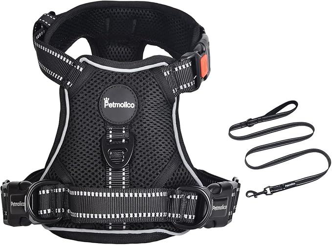 Petmolico No Pull Dog Harness and Leash Set, No Choke 4 Leash Attchments Easy Control Handle Soft Padded Reflective Vest Dog Harness for Small Dog Breed, Black Small