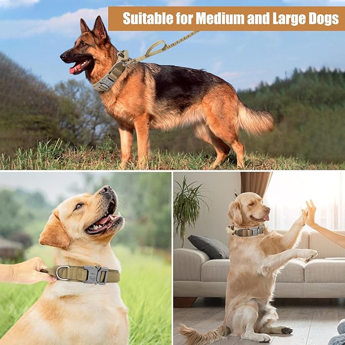 Tactical Dog Collar Leash Set, Adjustable Military Training Nylon Collar Dog Training with Control Handleand Metal Buckle, Dog Collar for Medium Large Dogs (Brown,L)