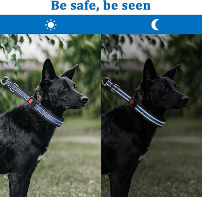 Mayerzon Martingale Collar for Dogs, No Pull Dog Collar with Reflective Strip for Small Medium Large Dogs, Anti Pulling Dog Collar with Buckle for Walking Training, Safe for Night Walk(Black, M)