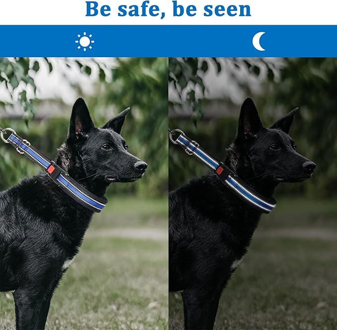 Mayerzon Martingale Collar for Dogs, No Pull Dog Collar with Reflective Strip for Small Medium Large Dogs, Anti Pulling Dog Collar with Buckle for Walking Training, Safe for Night Walk(Blue, S)