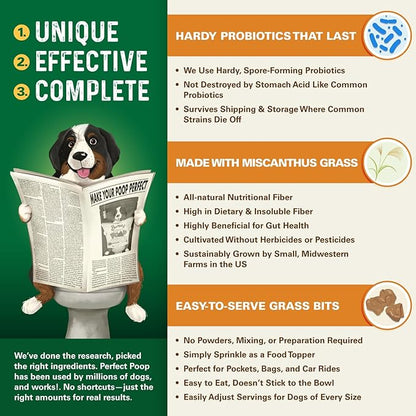 Perfect Poop Digestion & General Health Supplement for Dogs: Fiber, Prebiotics, Probiotics & Enzymes Relieve Digestive Conditions, Optimize Stool, and Improve Health (Cheddar Cheese, 12.8 oz)