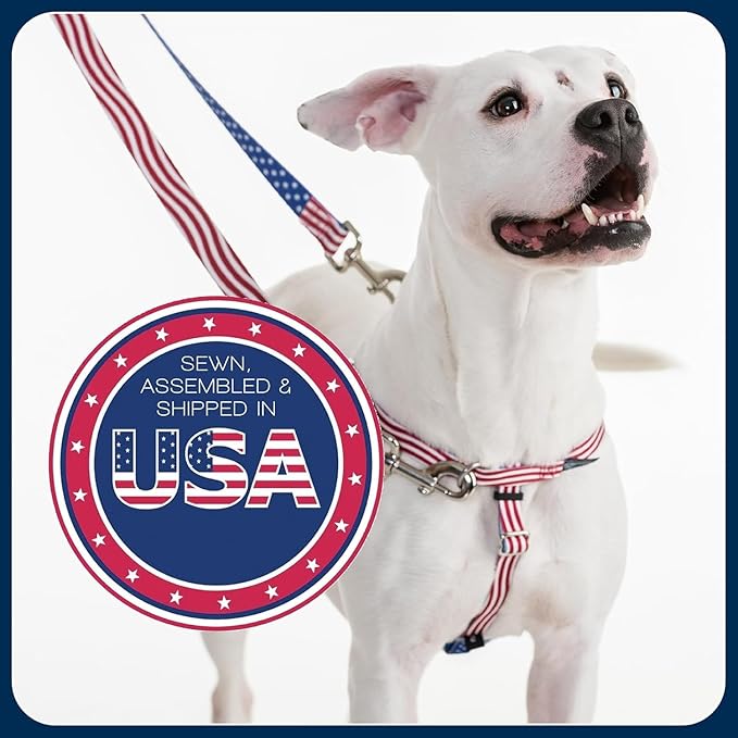 2 Hounds Design Freedom No Pull Dog Harness, Adjustable Harness, Easy Walking & Comfortable Control, Fits Small, Medium & Large Dogs, Solid Colors, Made in USA, 1" MD, Black
