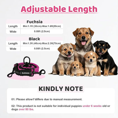 Double Dog Leash - 360°Swivel Tangle Free Splitter Attachment, 2 Dogs Multi-Functional Leashes, Dual Rope for Outdoor Walk Train Small Medium Large Two Pet, Fuchsia