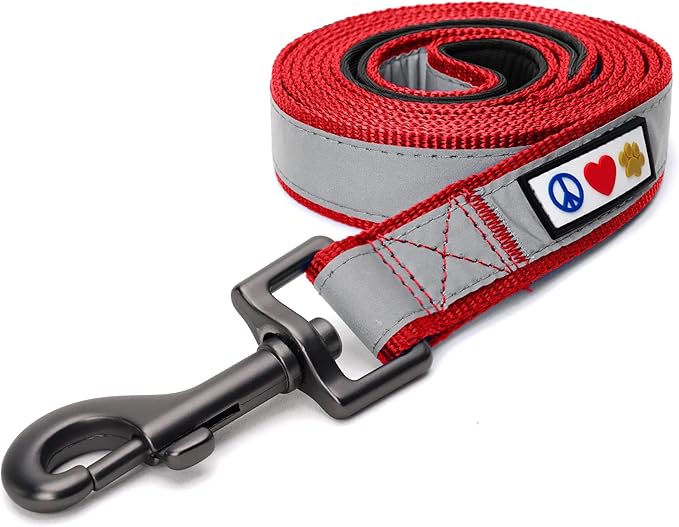 Pawtitas 6 FT Padded Dog Leash with Comfortable Neoprene Padding Handle - Red Lead | Small Reflective Dog Leash with Highly Reflective Band Perfect for Medium and Large Dogs and Puppies.