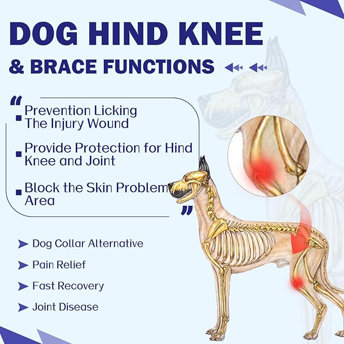 ROZKITCH Recovery Sleeve for Dogs Back Leg Rear Right Left, Pet Prevent Licking Wound Elbow Protector, Dog Recovery Suit Cone Collar Alternative for Sprain ACL CCL Arthritis Joint Care Blue M