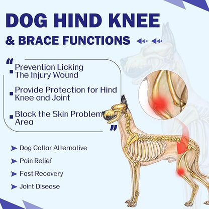 ROZKITCH Recovery Sleeve for Dogs Back Leg Rear Right Left, Pet Prevent Licking Wound Elbow Protector, Dog Recovery Suit Cone Collar Alternative for Sprain ACL CCL Arthritis Joint Care Blue M