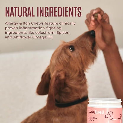WagWell Allergy & Itch Chews for Dogs | Vet Formulated for Allergy Relief, Itchy Skin, Gut & Immune Support | for Dogs of All Ages & Sizes, All Natural, Made in USA | Chicken Flavor, 60 Chews