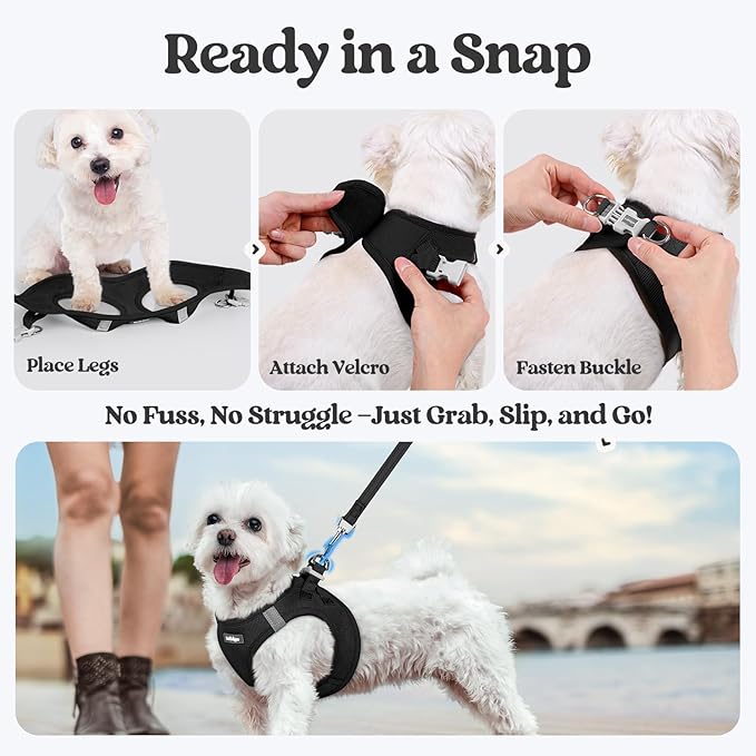 rabbitgoo Dog Harness Small Sized and Leash Set, Step in Soft Light Puppy Vest, Breathable Mesh Pet Harness, Reflective for Safe Easy Walking, Black XS