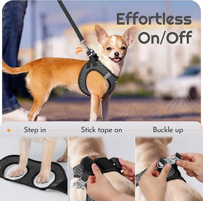 Eagloo Small Dog Harness and Leash Set, Step in Puppy Vest with Breathable Soft Mesh, Walking Reflective Pet Harness for Small Dogs, Gray, S