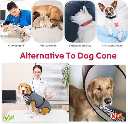 Idepet Dog Recovery Suit for Dogs After Surgery,Onesie Dogs Surgery Suit Female Male Soft Breathable Pet Bodysuit E-Collar & Cone Alternative Surgical Spay Suit Abdominal Anti Licking Wounds (XS)