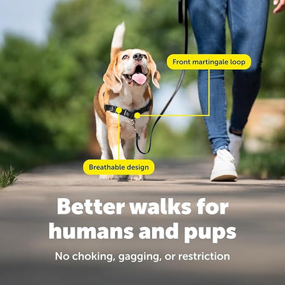 PetSafe Easy Walk Harness for Dogs - Pull-Free Walks - Patented Martingale Loop Design - Front Chest Leash Attachment - Comfort Straps - Breathable Harness Design - Small/Medium, Fawn/Brown