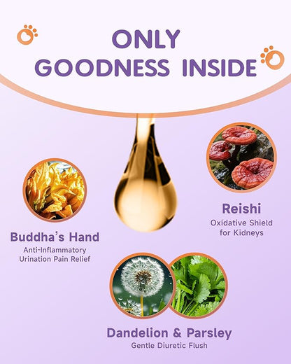 Cat & Dog Urinary Tract Infection Treatment - Cat UTI Treatment - Dog UTI Treatment - for Kidney, Bladder, Urinary Tract - Cranberry Supplement for Dogs Cats with Marshmallow Root, Dandelion, Parsley