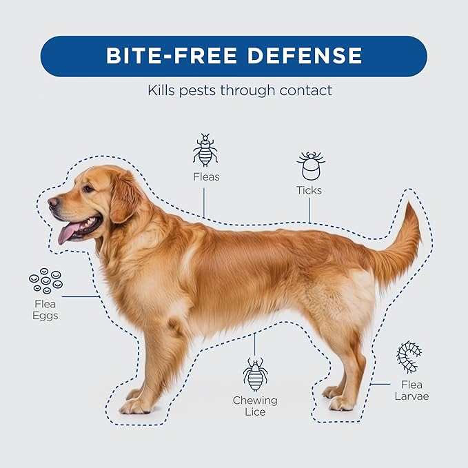 FirstAct Plus Flea Treatment for Dogs, Medium Dogs 23-44 lbs, 3 Doses, Same Active Ingredients as Frontline Plus Flea and Tick Prevention for Dogs