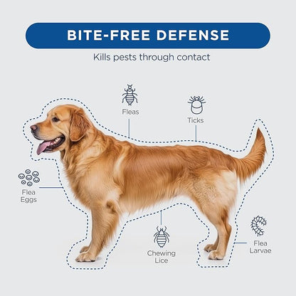 FirstAct Plus Flea Treatment for Dogs, Medium Dogs 23-44 lbs, 6 Doses, Same Active Ingredients as Frontline Plus Flea and Tick Prevention for Dogs