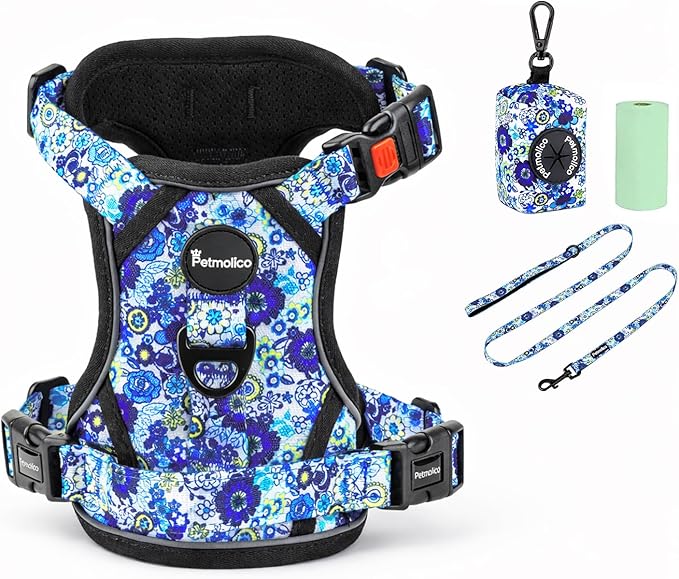 Petmolico No Pull Dog Harness Set with Leash Attachment Easy Control Handle Reflective Vest Small Breed, Puppy Vest and Leash Set with Poop Bag Holder, Small - Blue Daisy