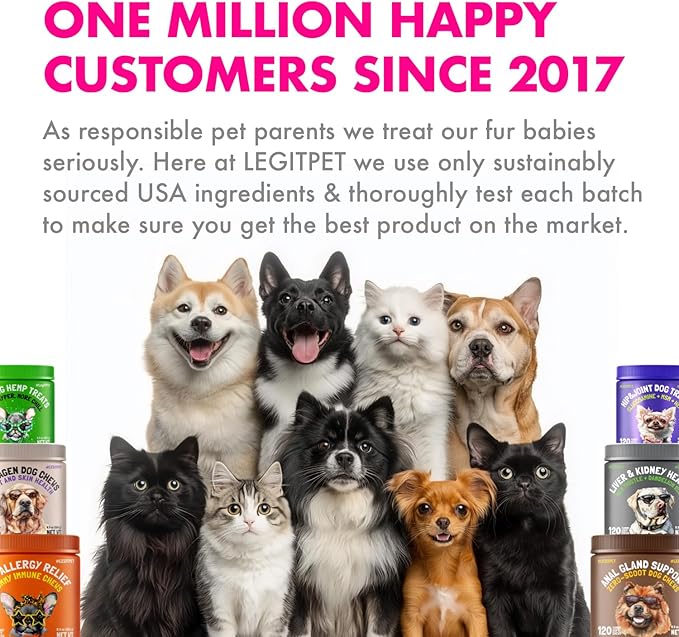 Omega 3 Alaskan Salmon Oil Treats for Dogs 120 Fish Oil Chew Supplement Skin and Coat Allergy and Itch Relief Hip & Joint Health Brain Shedding Hot Spots Treatment Omega 3 6 9 EPA & DHA Fatty Acids