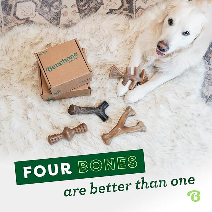 Benebone Large 4-Pack Dog Toys for Aggressive Chewers – Durable Dog Bones, Made in USA – Dog Toys for Large Dogs Under 90 lbs