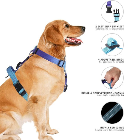 Roses&Poetry Puppy Dog Harness and Leash Set, No Pull Dog Harness Adjustable Reflective, Dog Halter Harnesses Comfort Padded Handle, Pet Harness for Training Outdoor Walking（Gsky-XS