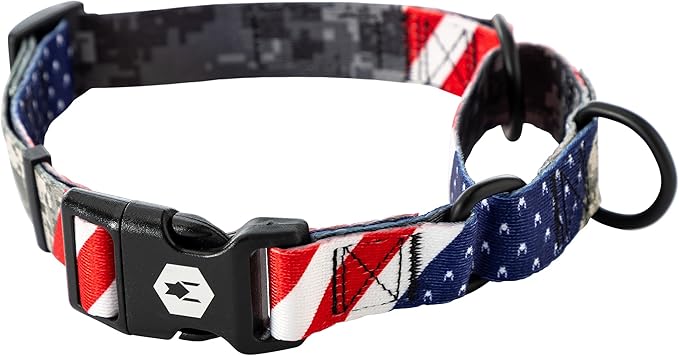 Wolfgang Heavy Duty Martingale Dog Collar with Quick Release Nylon Buckle for Walking & Training, DigitalDog Print, Large