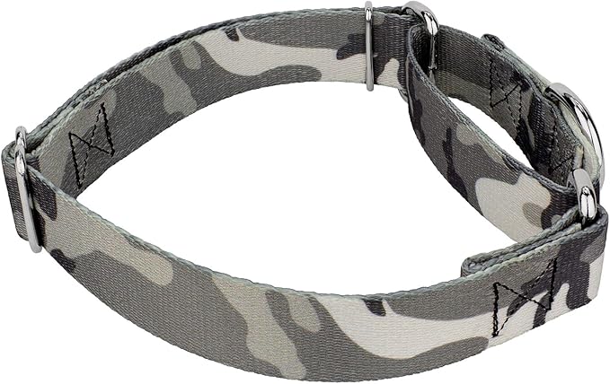 Country Brook Petz - Urban Camo Martingale Dog Collar and Leash - Camouflage Collection Featuring Rugged Designs (1/2 Inch, 2XS)
