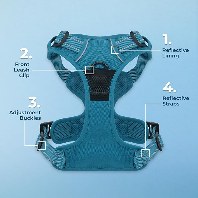 Voyager Dog Harness Dual Leash Attachment No-Pull Control Adjustable Soft but Strong Pet Harness for Medium and Large Dogs with 3M Reflective Technology, Leash Set Turquoise Nylon, S (Chest: 16-20")