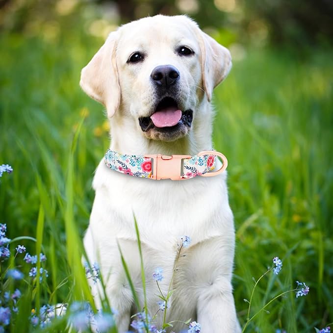 Dog Collar and Leash Set Girls Adjustable Puppy Collars with Floral Bow Tie for Small Medium Large Female Dogs, Teal Flower, S