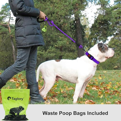 Taglory Rope Dog Leash 4 FT with Comfortable Padded Handle, Highly Reflective Threads Leash and Anti-Tangle Clip for Walking Medium Large Dogs, 1/2 inch, Purple
