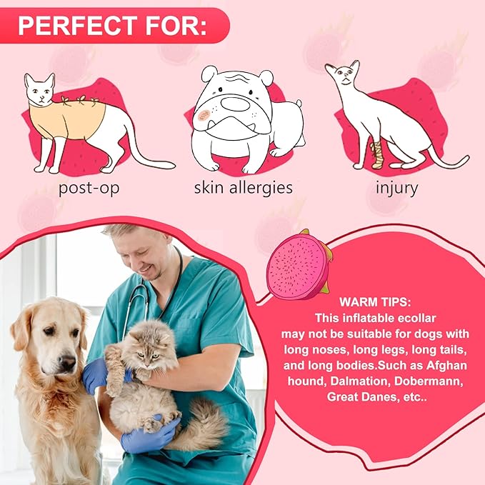 Pitaya Inflatable Dog Donut Collar, Soft Recovery Cone for Large, Medium & Small Dogs & Cats, Adjustable E Collar, Does not Block Pet Vision