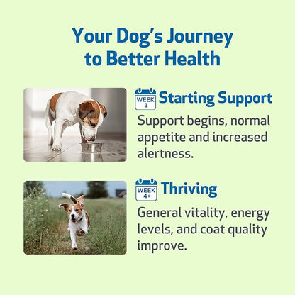 Pet Wellbeing Life Gold for Dogs - Supports Detoxification & Immune System Health with Astragalus & Sheep Sorrel - NASC Certified & Vet-Formulated - 4 oz Liquid Formula