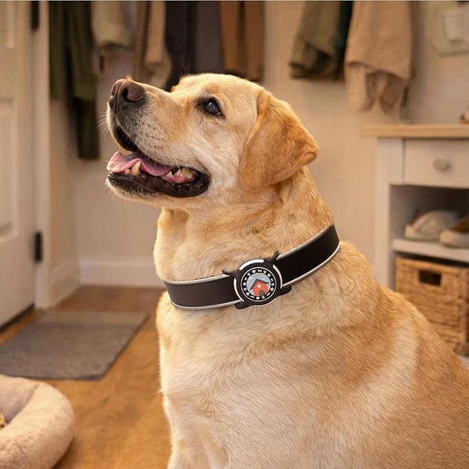 Dog AirTag Holder for Dog Collar, Soft Silicone Slide-On Case for Apple AirTag, No-Dangle Quiet Protective Holder with High-Contrast Message Designs