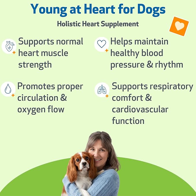 Pet Wellbeing Young at Heart for Dogs - Senior Heart Health Support, Cardiovascular Wellness with Hawthorn & Motherwort - NASC Certified & Vet-Formulated - 2 oz Liquid Formula