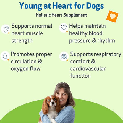 Pet Wellbeing Young at Heart for Dogs - Senior Heart Health Support, Cardiovascular Wellness with Hawthorn & Motherwort - NASC Certified & Vet-Formulated - 2 oz Liquid Formula