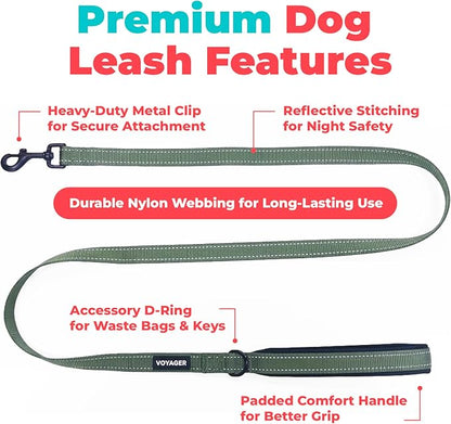 Best Pet Supplies Voyager Reflective Dog Leash or Collar with Neoprene Handle, for Small, Medium, and Large Breed Puppies, Cute and Heavy Duty for Walking, Running and Training - Moss Green (Leash), M