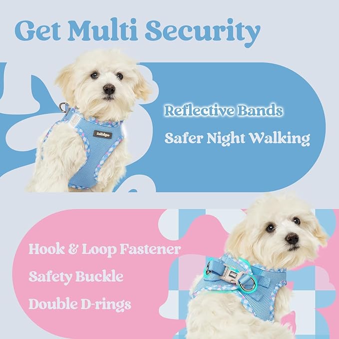 rabbitgoo Small Dog Harness, Step-in Soft Mesh Puppy Vest with Safety Buckle, Breathable Reflective Pet Harness for Small Sized Dogs, Blue & Plaid Trim XS