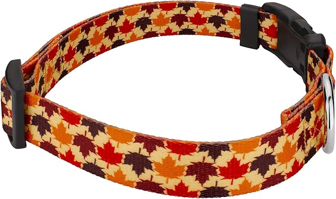 Country Brook Petz - Nature Walk Everyday Dog Collar and Leash Limited Edition - Awesome Autumn Collection Featuring Designs You Will Fall for (1 Inch, Extra Large)
