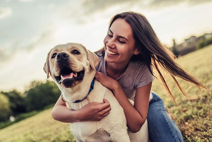 cranberry bladder bites for dogs - DOG URINARY TRACT SUPPORT - NATURAL CRANBERRY SOLUTION - BLADDER HEALTH - VET RECOMMENDED - corn silk supplement for dogs - 1 Bottle (90 Treats)