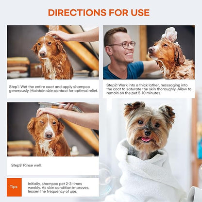 Medicated Dog Shampoo for Allergies and Itching: Antifungal Dog Shampoo, Yeast Infection and Bacterial Treatment for Dogs - Helps Hot Spots, Deodorizing and Anti Itch - Healthy Skin & Coat (Pack of 2