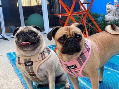 PUPTECK Soft Mesh Dog Harness and Leash Set Pet Puppy Cat Comfort Padded Vest No Pull Harnesses, Light Pink, L