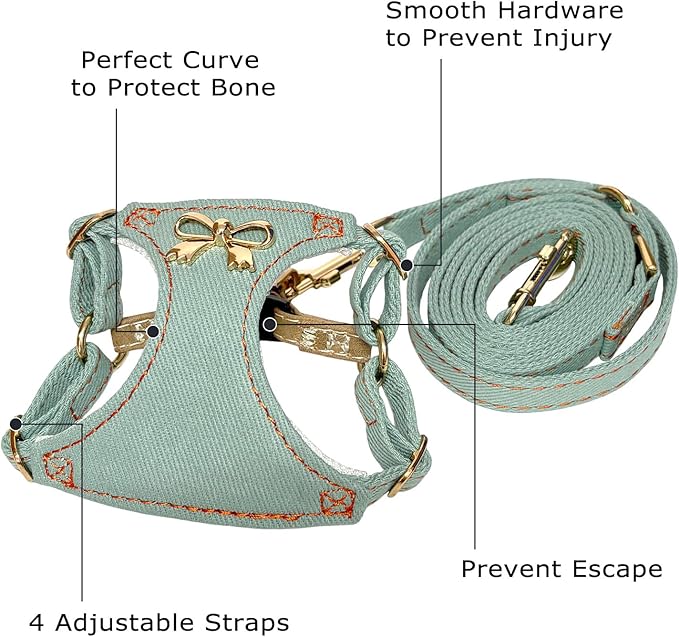 No Pull Dog Harness and Leash Set for Small Sized Dog Training Puppy Harnesses with Multifunction Dog Leash, Soft Adjustable Denim No Choke Escape Proof Pet Harness for Small and Medium Dog (Teal XXS)