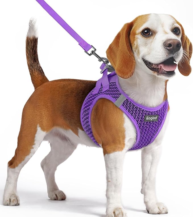 Eagloo Small Dog Harness and Leash Set, Step in Puppy Vest with Breathable Soft Mesh, Walking Reflective Pet Harness for Small Dogs, Purple, M