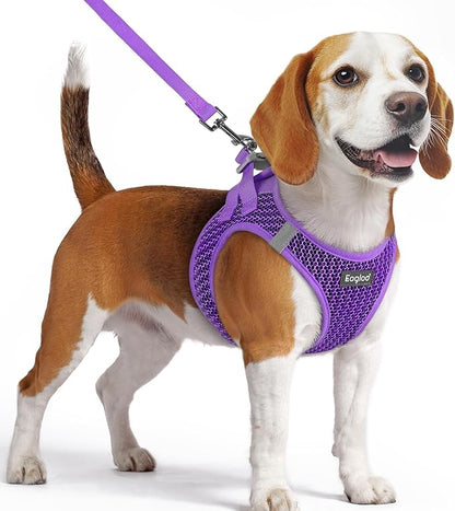 Eagloo Small Dog Harness and Leash Set, Step in Puppy Vest with Breathable Soft Mesh, Walking Reflective Pet Harness for Small Dogs, Purple, M