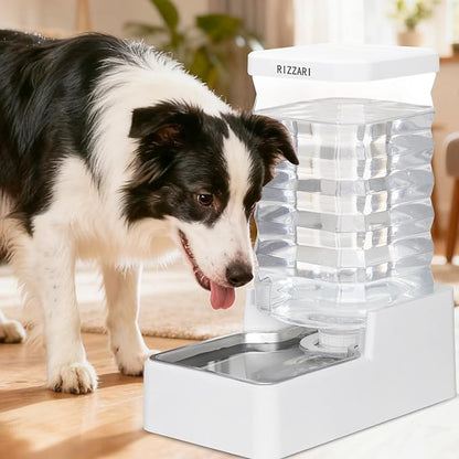 RIZZARI Stainless Steel Pet Water Feeder: 10L Gravity Waterer with Filter - Splash-Resistant - Dust-Resistant Lid -Easy to Clean - No Power Needed - for Cats & Dogs - Crate Area/Kitchen Corner