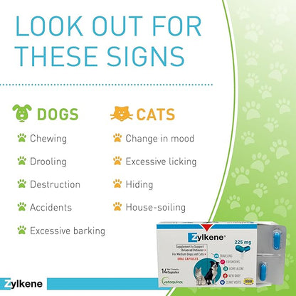 Vetoquinol Zylkene - Calming Oral Support for Medium Dogs & Large Cats - Supports Behavior & Occasional Anxiety - for Boarding, Vet Visits & Celebrations - Non-Drowsy & Lactose-Free - 14 Capsules