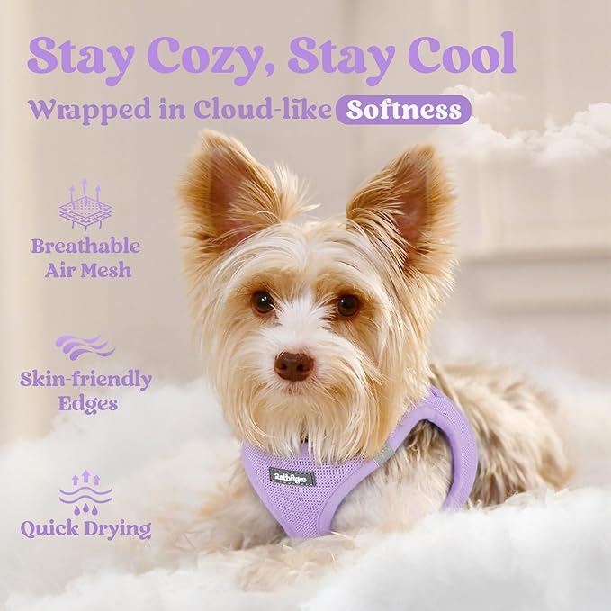 rabbitgoo Small Dog Harness, Step-in Soft Mesh Puppy Vest with Safety Buckle, Breathable Reflective Pet Harness for Small Medium Dogs, Light Purple L
