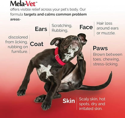Melatonin Calming Soft Chews for Dogs, Vet-Formulated to Provide Relaxation & Anxiety Relief, Helps Reduce Stress & Tension-Supports Healthier Skin & Coat.120 Tasty Soft Chews.